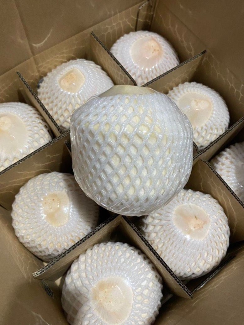 DIAMOND COCONUT